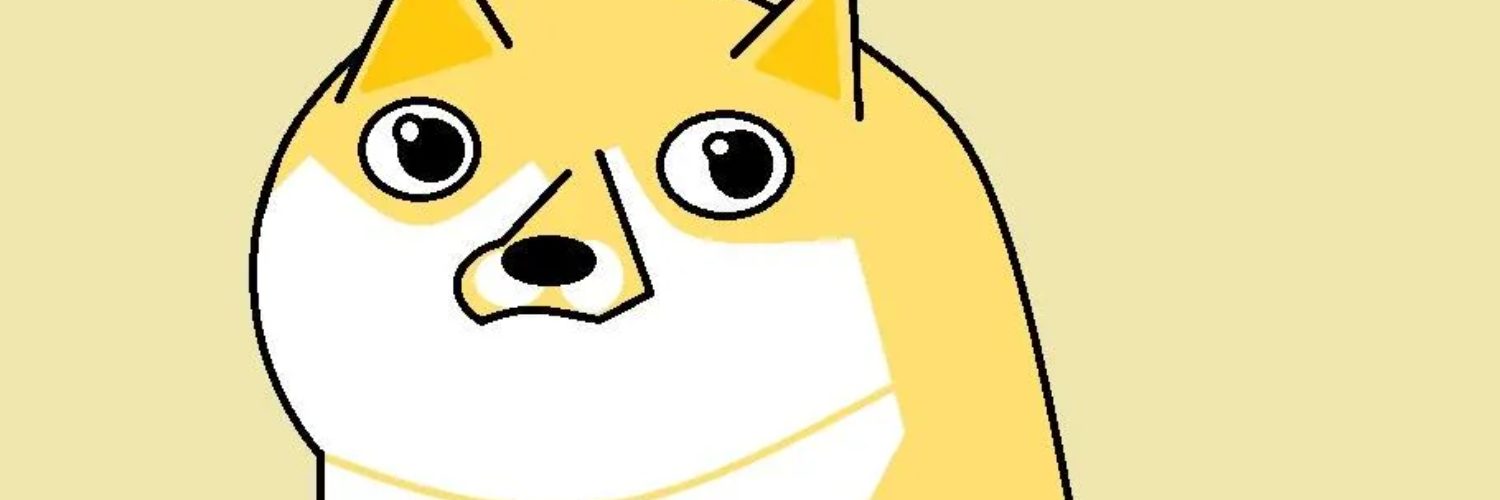 Rogue DOGE banner