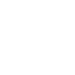 Solana One Largest Human logo
