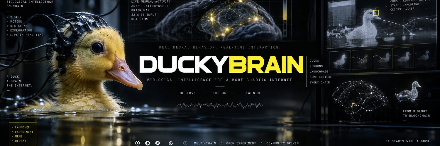 DUCKYBRAIN banner