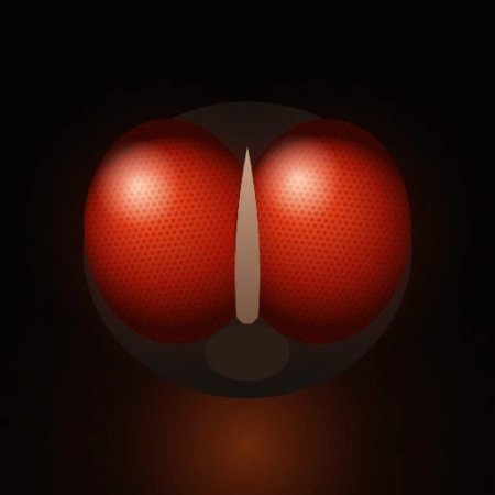 Token logo