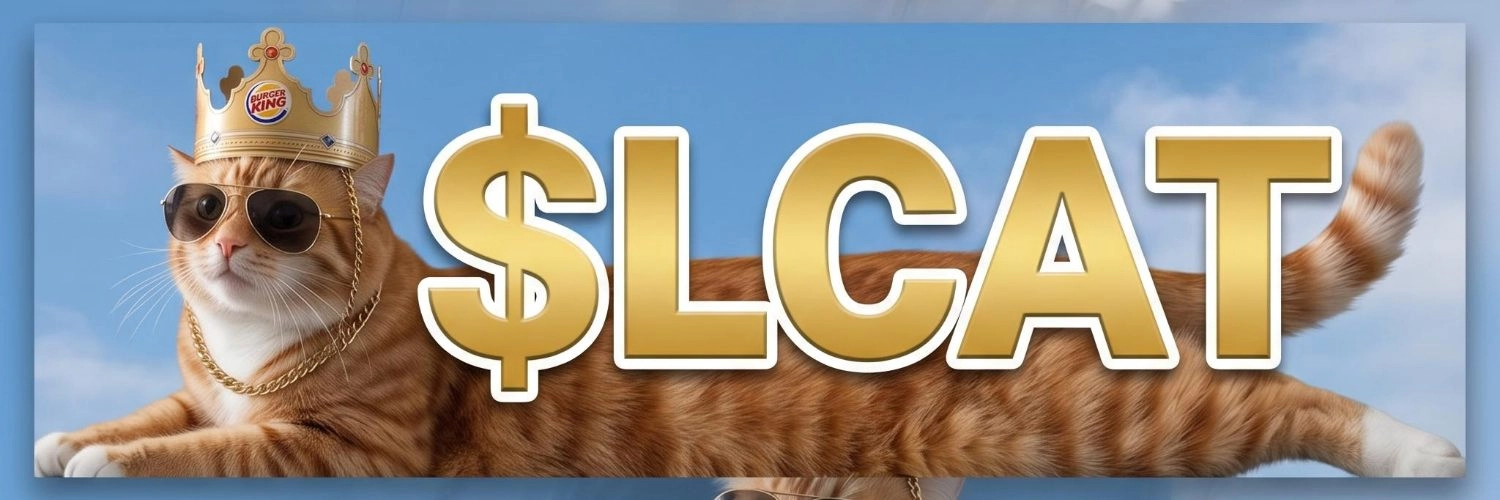 Lacist Cat banner