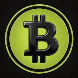 SATOSHI NAKAMOTO logo