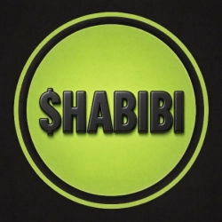 $HABIBI logo