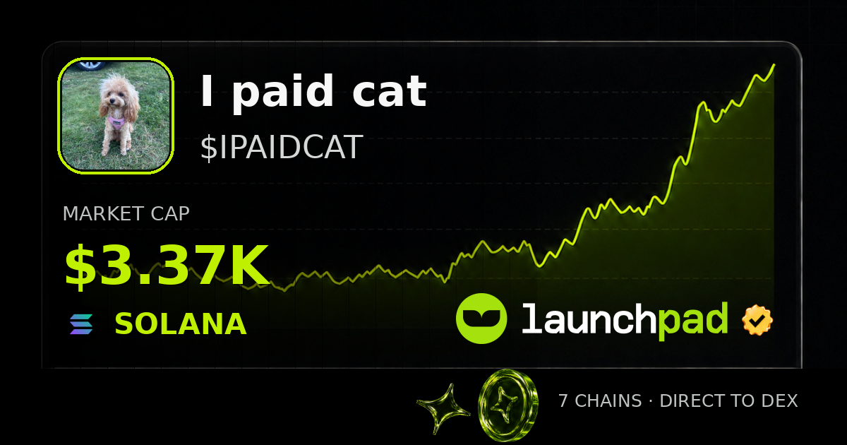 I paid cat $IPAIDCAT Open Graph image