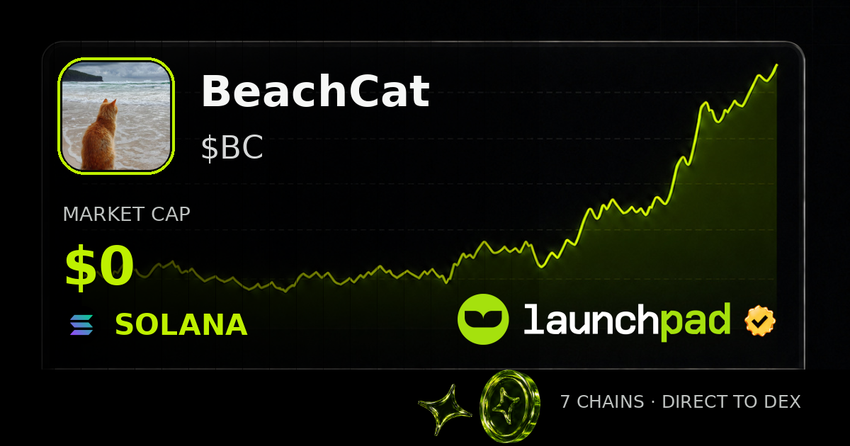 BeachCat $BC Open Graph image