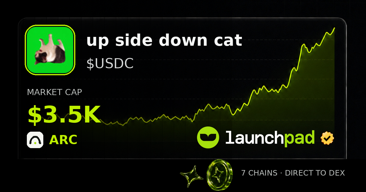 up side down cat $USDC Open Graph image